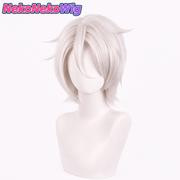 The Case Study of Vanitas Noé & Vanitas Cosplay Wig – Silver White & Black Blue Styles