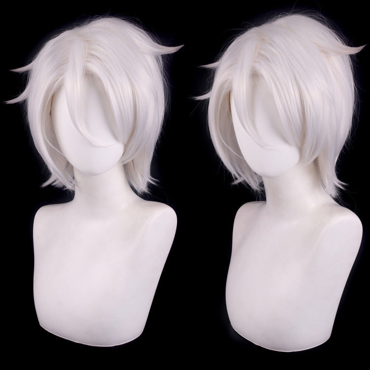 The Case Study of Vanitas Noé & Vanitas Cosplay Wig – Silver White & Black Blue Styles